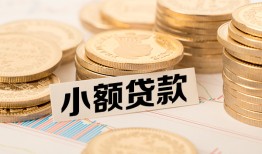 东莞38空放-东莞38个人短借-东莞38身份证小额贷款