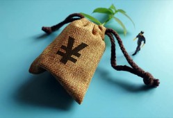 贷款总额按月供计算器专业评估工具